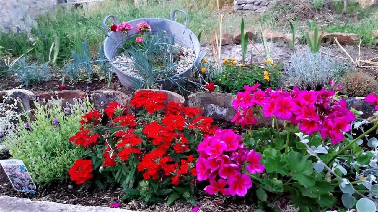 Countryside Vacation House Vitez Babino Polje Extérieur photo