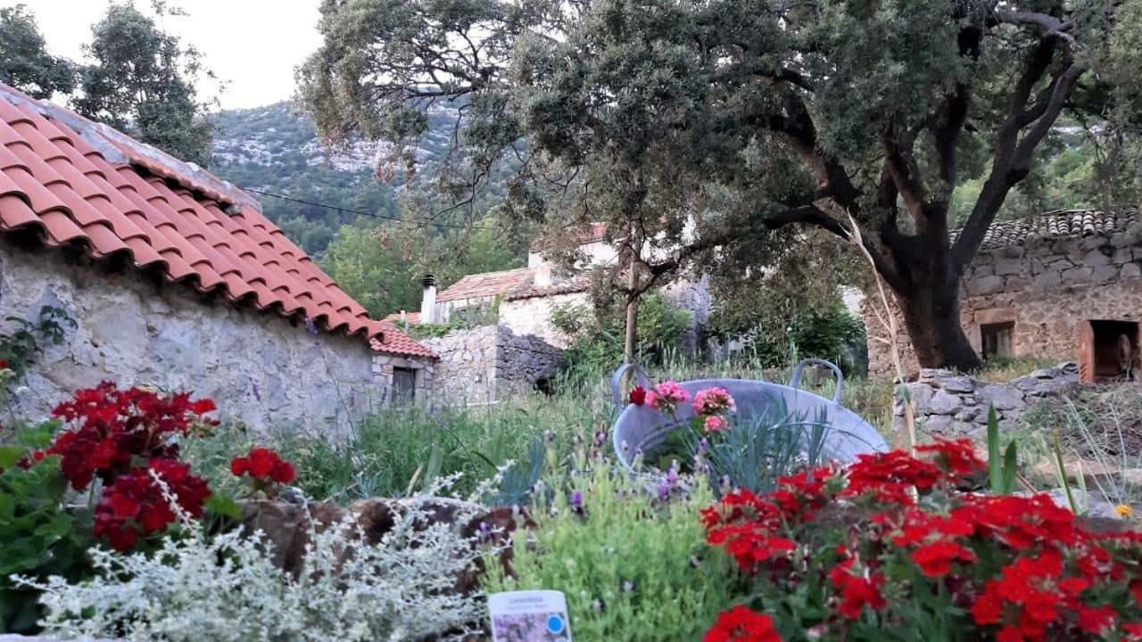Countryside Vacation House Vitez Babino Polje Extérieur photo